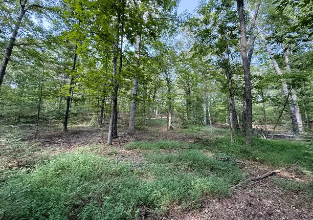 Photo 3 of Land for sale at 0 Webb Rd Ext, Summertown, TN 38483 | MLS# 2924044 | Listing updated on 2026-08-21