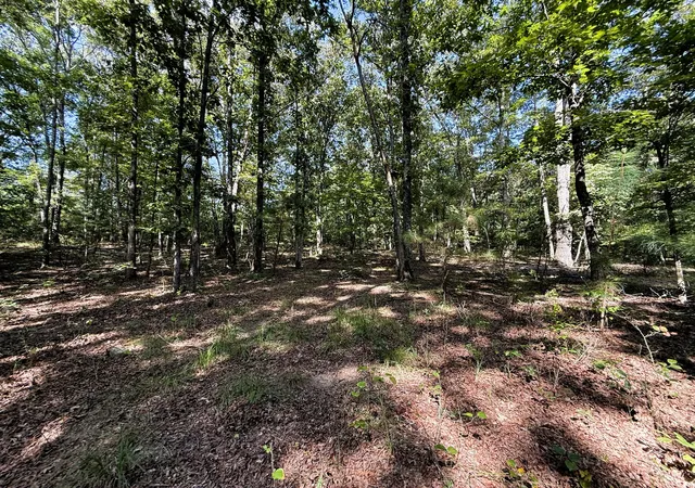 Photo 3 of Land for sale at 0 Webb Rd Ext, Summertown, TN 38483 | MLS# 2924044 | Listing updated on 2026-08-21