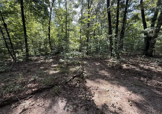 Photo 4 of Land for sale at 0 Webb Rd Ext, Summertown, TN 38483 | MLS# 2924044 | Listing updated on 2026-08-21