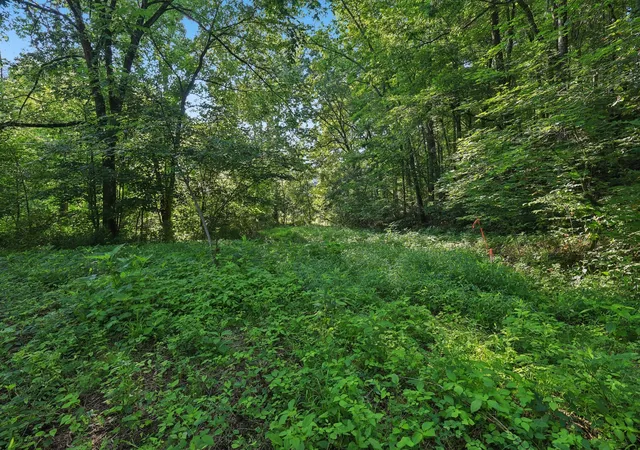 17th image of 2326 Fairfield Rd, Westmoreland, TN 37186 | MLS# 2924494