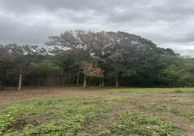 Photo 20 of Land for sale at 0 Palmer Rd, Lebanon, TN 37090 | MLS# 2922963 | Listing updated on 2025-10-01