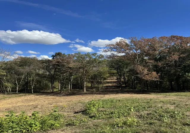 Photo 1 of Land for sale at 0 Palmer Rd, Lebanon, TN 37090 | MLS# 2922963 | Listing updated on 2025-10-01