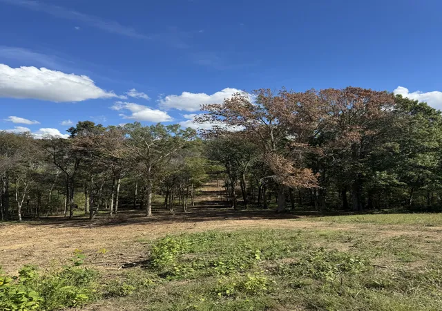 Photo 2 of Land for sale at 0 Palmer Rd, Lebanon, TN 37090 | MLS# 2922963 | Listing updated on 2025-10-01