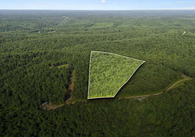 Homes for sale in Mount Pleasant, TN | 220 Ellies Run, Mount Pleasant, TN 38474 | MLS# 2923673