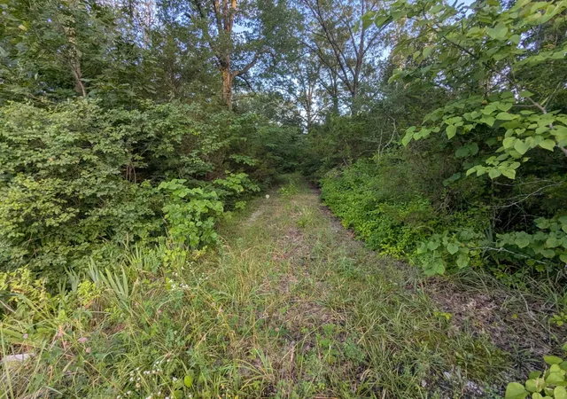 4th image of 1511 Finley Beech Rd, Lewisburg, TN 37091 | MLS# 2926037