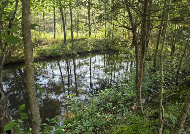 5th image of 0 Lewis Atkins Rd, Woodlawn, TN 37191 | MLS# 2925975