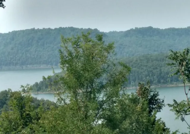 Photo 2 of Land for sale at 411 Maury Lane, Smithville, TN 37166 | MLS# 2926137 | Listing updated on 2025-09-01