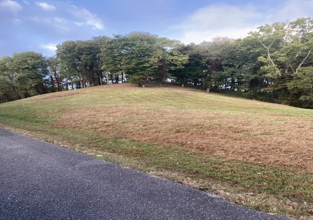 Photo 31 of Land for sale at 220 Wilson Circle, Smithville, TN 37166 | MLS# 2926132 | Listing updated on 2025-09-01