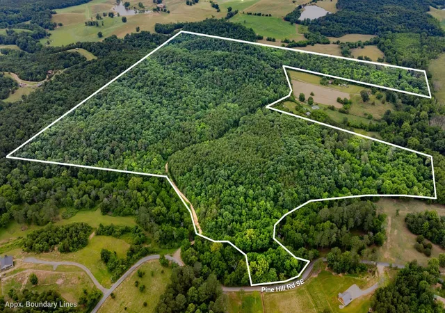 1st image of 0 Pine Hill Road, Rydal, GA 30171 | MLS# 2927747