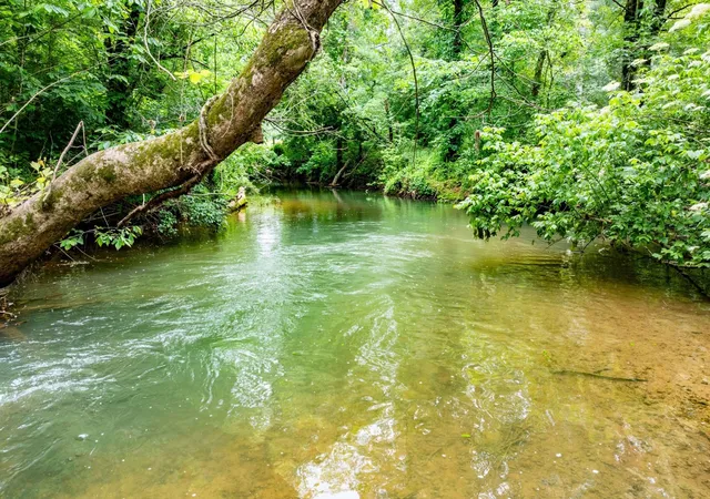 3rd image of 0 Pine Hill Road, Rydal, GA 30171 | MLS# 2927747
