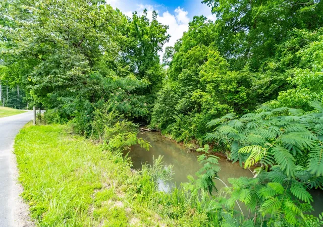 5th image of 0 Pine Hill Road, Rydal, GA 30171 | MLS# 2927747