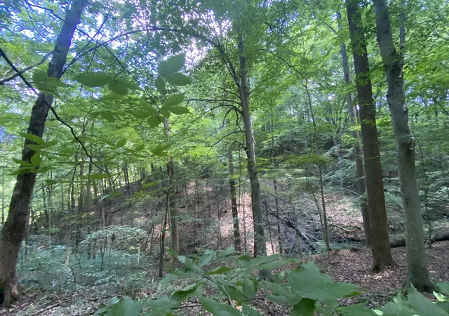 3rd image of 5032 Ridge Hill Dr, Joelton, TN 37080 | MLS# 2929067