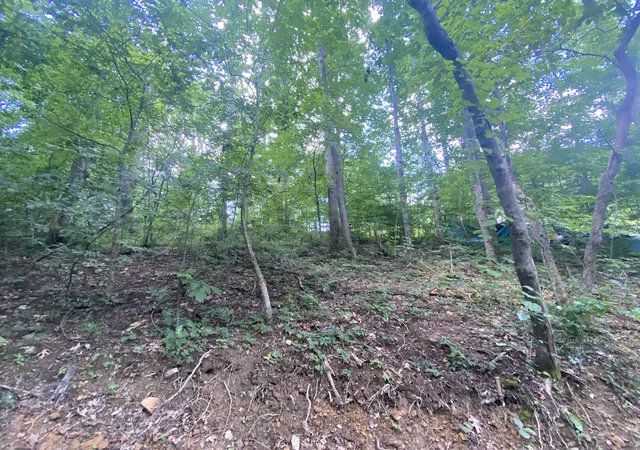 4th image of 5032 Ridge Hill Dr, Joelton, TN 37080 | MLS# 2929067