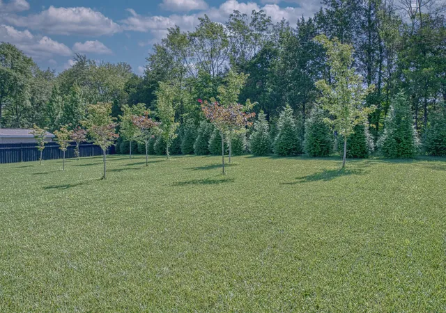41st image of 319 Greymoor Ln Ne, Cookeville, TN 38501 | MLS# 2930250