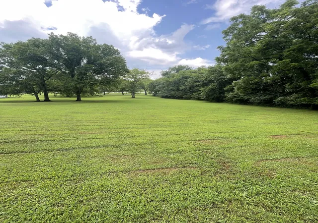 2nd image of 0 Industrial Loop Rd, Pulaski, TN 38478 | MLS# 2939131