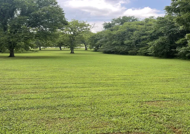 1st image of 0 Industrial Loop Rd, Pulaski, TN 38478 | MLS# 2939131