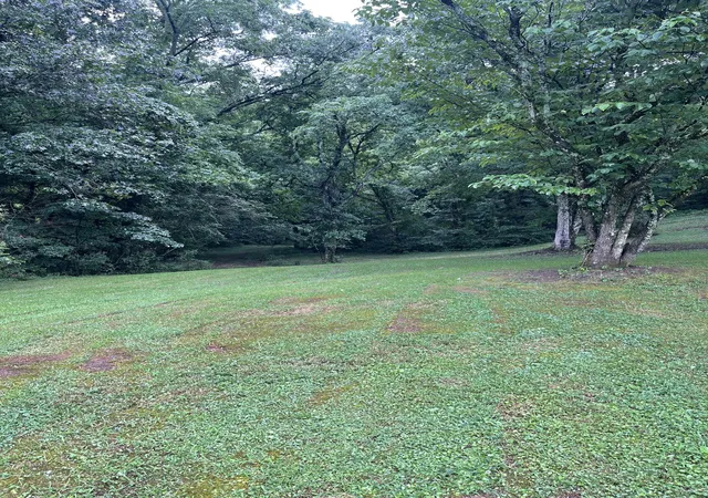 23rd image of 0 Industrial Loop Rd, Pulaski, TN 38478 | MLS# 2939131