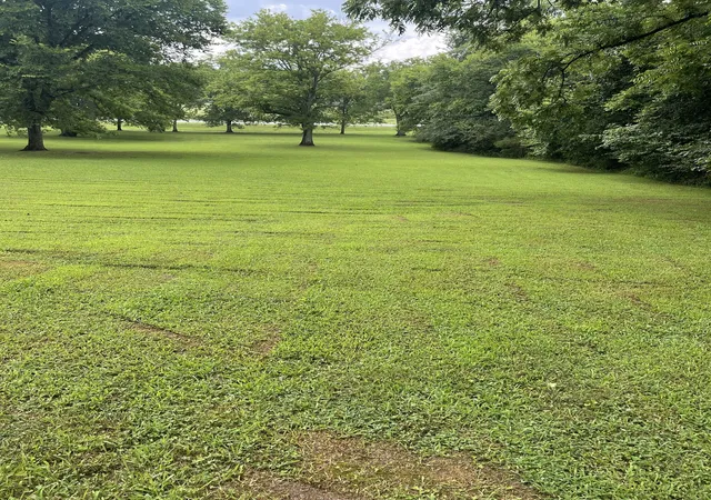 3rd image of 0 Industrial Loop Rd, Pulaski, TN 38478 | MLS# 2939131
