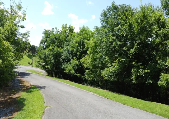 Photo 3 of Land for sale at 316 Highbridge, Smithville, TN 37166 | MLS# 2931696 | Listing updated on 2025-07-09