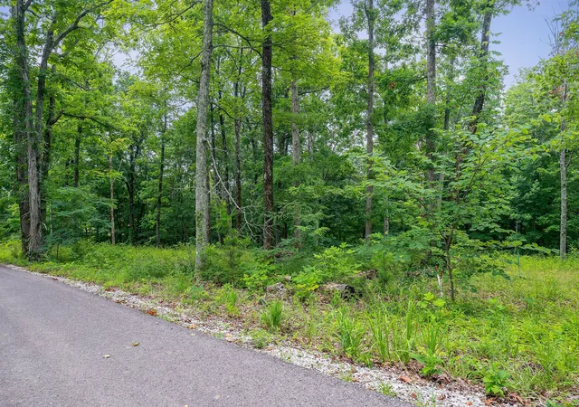 Homes for sale in Hilham, TN | 31c Rock Fish Rd, Hilham, TN 38568 | MLS# 2931765