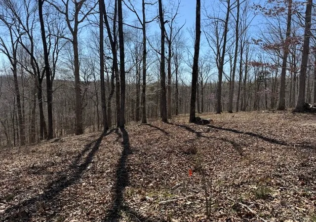 Homes for sale in Hilham, TN | 31C Rock Fish Rd, Hilham, TN 38568 | MLS# 2931765
