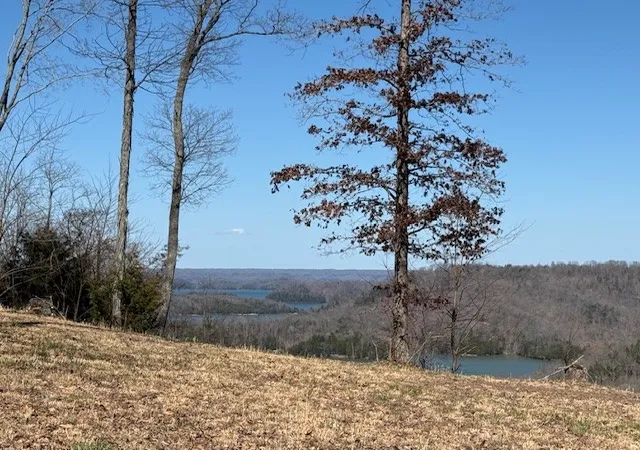 Homes for sale in Hilham, TN | 31c Rock Fish Rd, Hilham, TN 38568 | MLS# 2931765