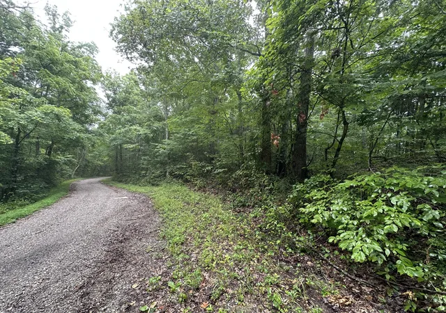 3rd image of 0 Star Point Rd, Celina, TN 38551 | MLS# 2939441