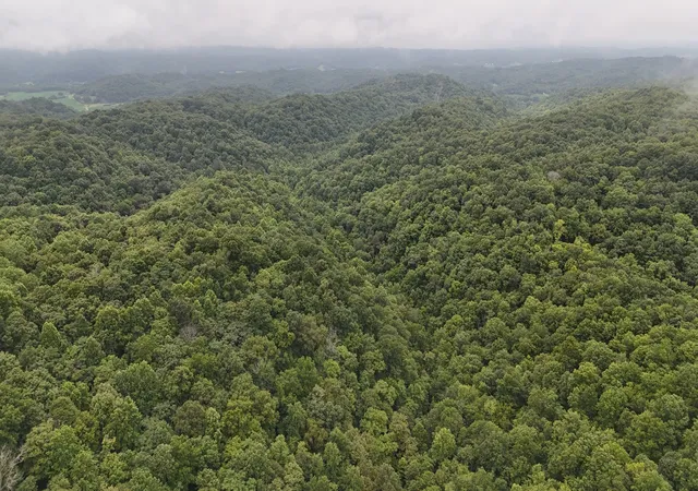 45th image of 0 Star Point Rd, Celina, TN 38551 | MLS# 2939441