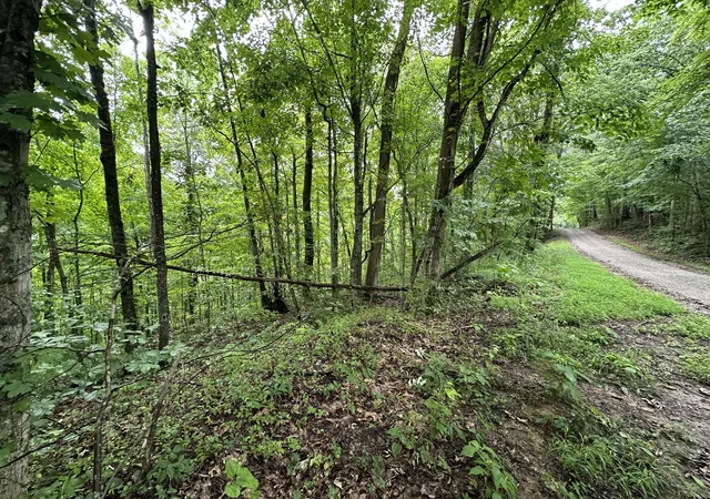 4th image of 0 Star Point Rd, Celina, TN 38551 | MLS# 2939441