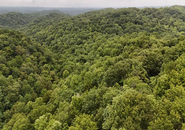5th image of 0 Star Point Rd, Celina, TN 38551 | MLS# 2939441
