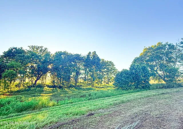 Photo 3 of Land for sale at 0 Summerset Dr, Talbott, TN 37877 | MLS# 3542934 | Listing updated on 2026-09-07