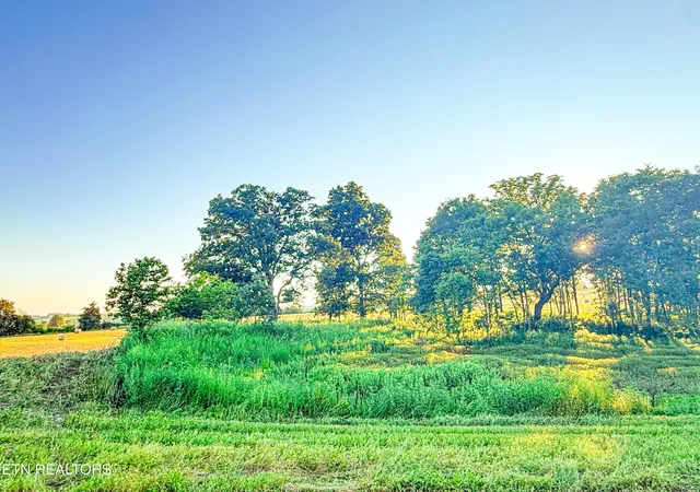 Photo 4 of Land for sale at 0 Summerset Dr, Talbott, TN 37877 | MLS# 3542934 | Listing updated on 2026-09-07