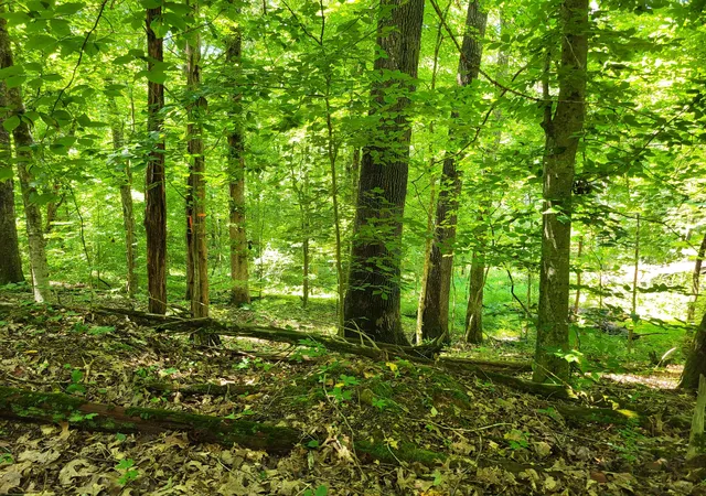 Photo 1 of Land for sale at 1 Indian Creek Rd, Dover, TN 37058 | MLS# 2939085 | Listing updated on 2026-04-29