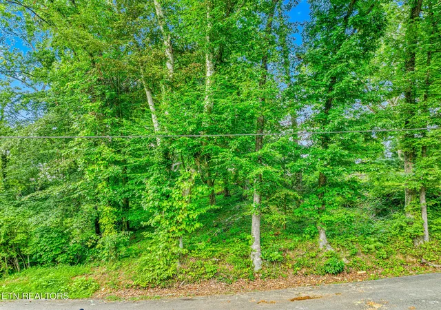 Photo 1 of Land for sale at 278 Harvest St, Newport, TN 37821 | MLS# 3278456 | Listing updated on 2026-07-14