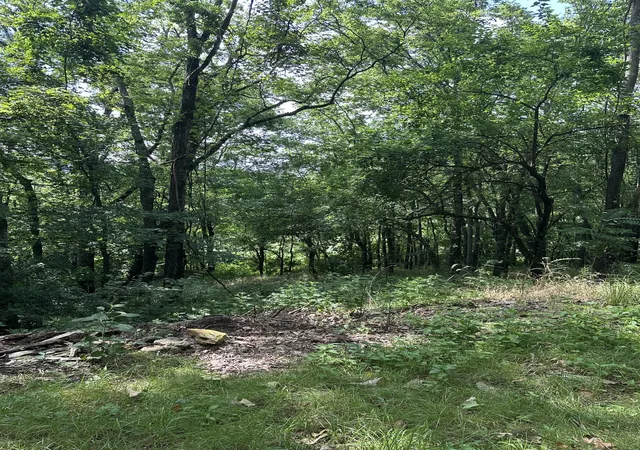 Photo 3 of Single family home for sale at 322 Stoneybrook Rd, Columbia, TN 38401 | MLS# 2940987 | Listing updated on 2025-12-12