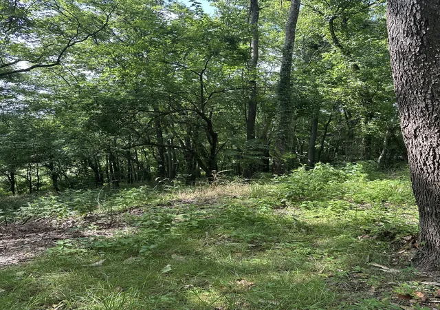 Photo 4 of Single family home for sale at 322 Stoneybrook Rd, Columbia, TN 38401 | MLS# 2940987 | Listing updated on 2025-12-12