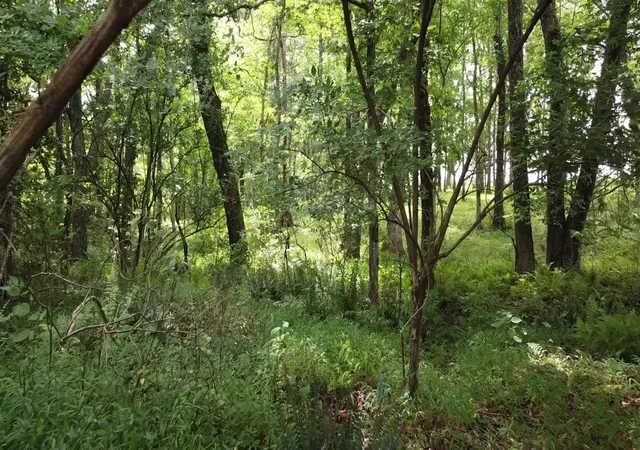 5th image of 0 Bridle Trail, Spencer, TN 38585 | MLS# 2941810
