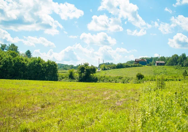22nd image of 0 Holders Grove Road, Cosby, TN 37722 | MLS# 2941949