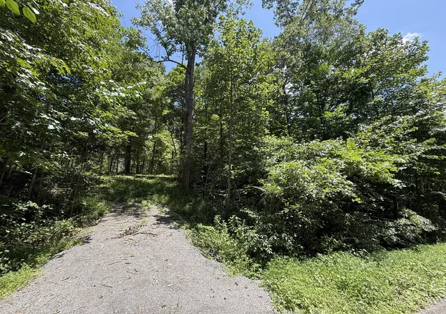 1st image of 114 White Springs Road, Lafayette, TN 37083 | MLS# 2943306