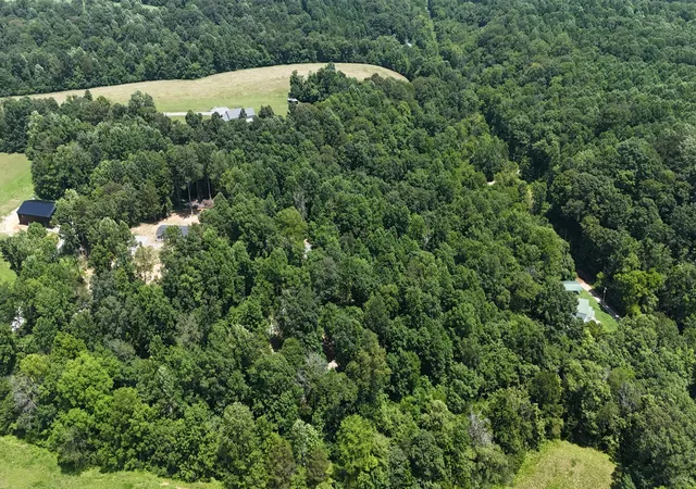 5th image of 114 White Springs Road, Lafayette, TN 37083 | MLS# 2943306