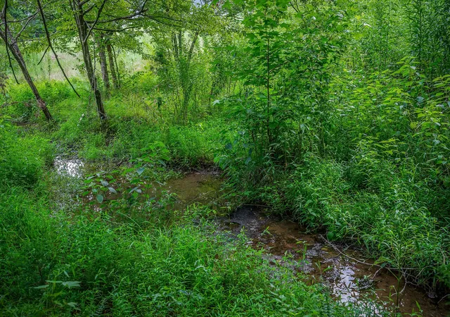 29th image of 0 Medlen Ln, Smithville, TN 37166 | MLS# 2942142