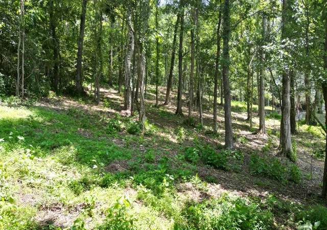 Photo 1 of Land for sale at 0 Lancing Ct, Smithville, TN 37166 | MLS# 2943854 | Listing updated on 2025-09-09