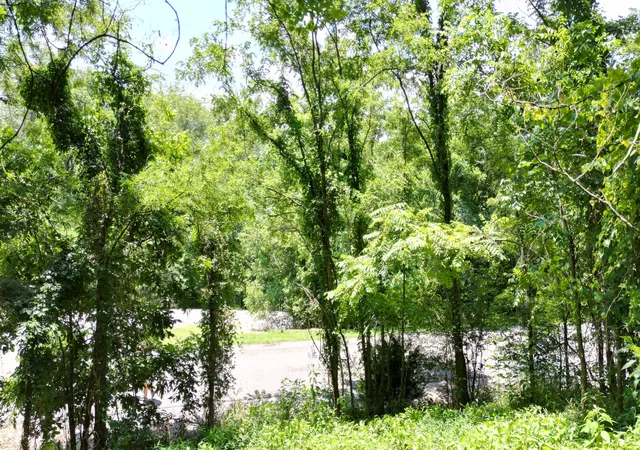 Photo 10 of Land for sale at 0 Lancing Ct, Smithville, TN 37166 | MLS# 2943854 | Listing updated on 2025-09-09
