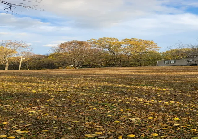 Photo 3 of Land for sale at 4698 Bennett Holw Rd, Thompsons Station, TN 37179 | MLS# 2942341 | Listing updated on 2026-07-17