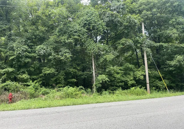 2nd image of 1535 Mount Olivet Rd, Hendersonville, TN 37075 | MLS# 2942940
