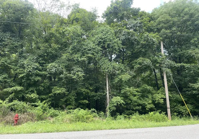 3rd image of 1535 Mount Olivet Rd, Hendersonville, TN 37075 | MLS# 2942940