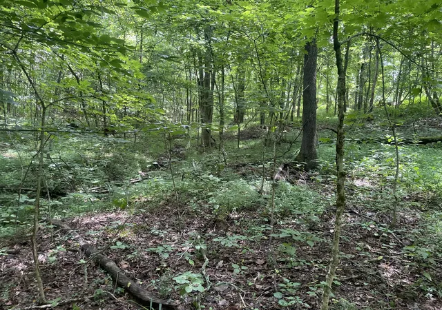 5th image of 1535 Mount Olivet Rd, Hendersonville, TN 37075 | MLS# 2942940