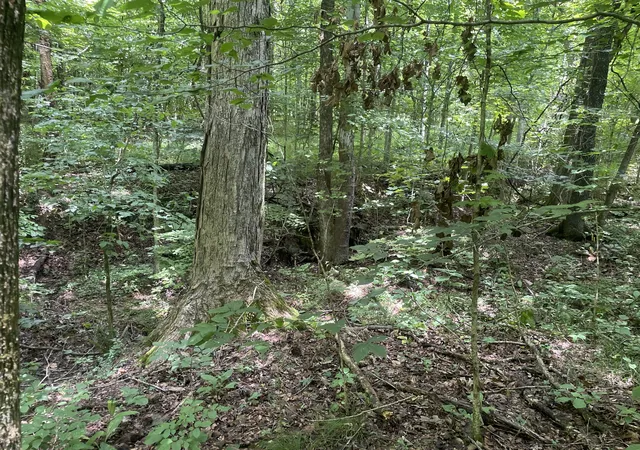 7th image of 1535 Mount Olivet Rd, Hendersonville, TN 37075 | MLS# 2942940