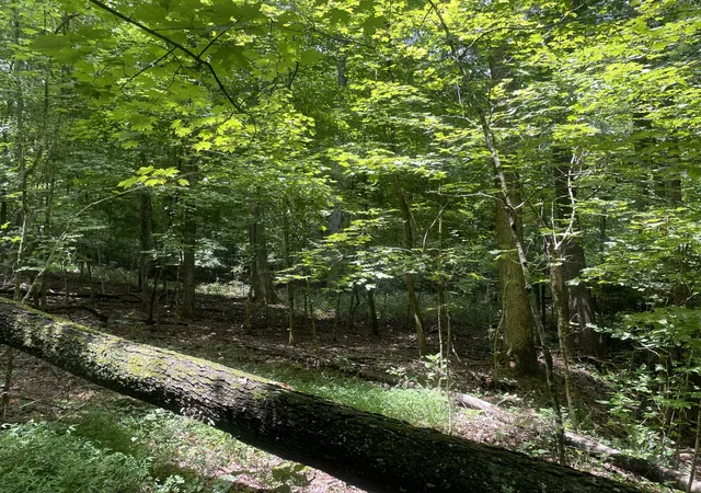 1st image of 1535 Mount Olivet Rd, Hendersonville, TN 37075 | MLS# 2942940