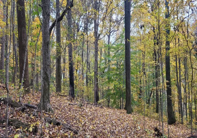 Photo 1 of Land for sale at 1 Sugar Ridge Rd, Spring Hill, TN 37174 | MLS# 2942374 | Listing updated on 2026-07-17